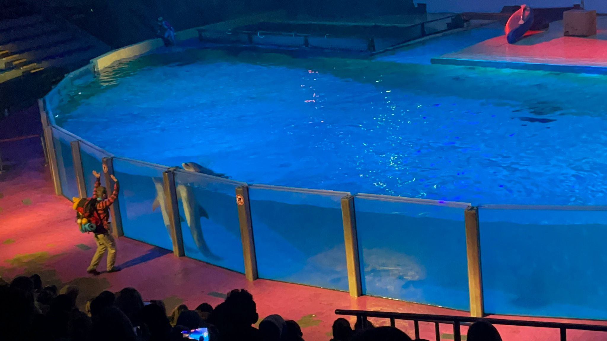 Sint-Martinus den XIIde - Winterkamp JVK 2024